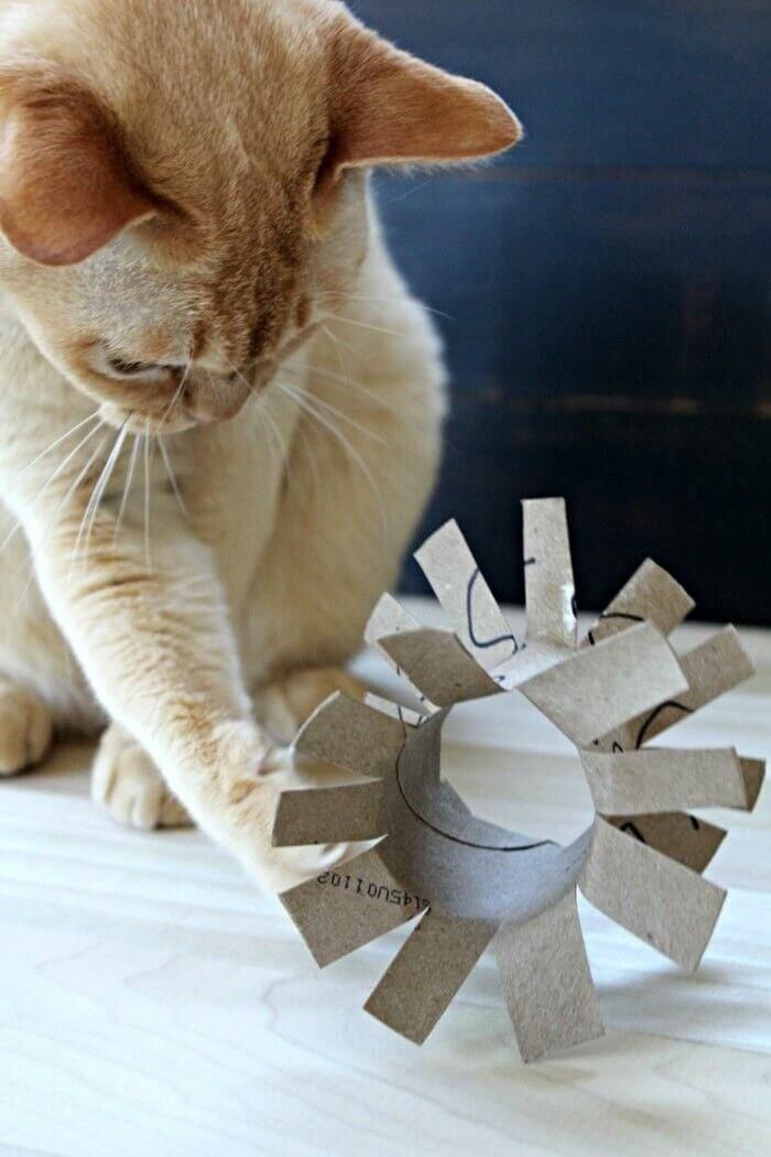 make cat toys out of cardboard roll -4